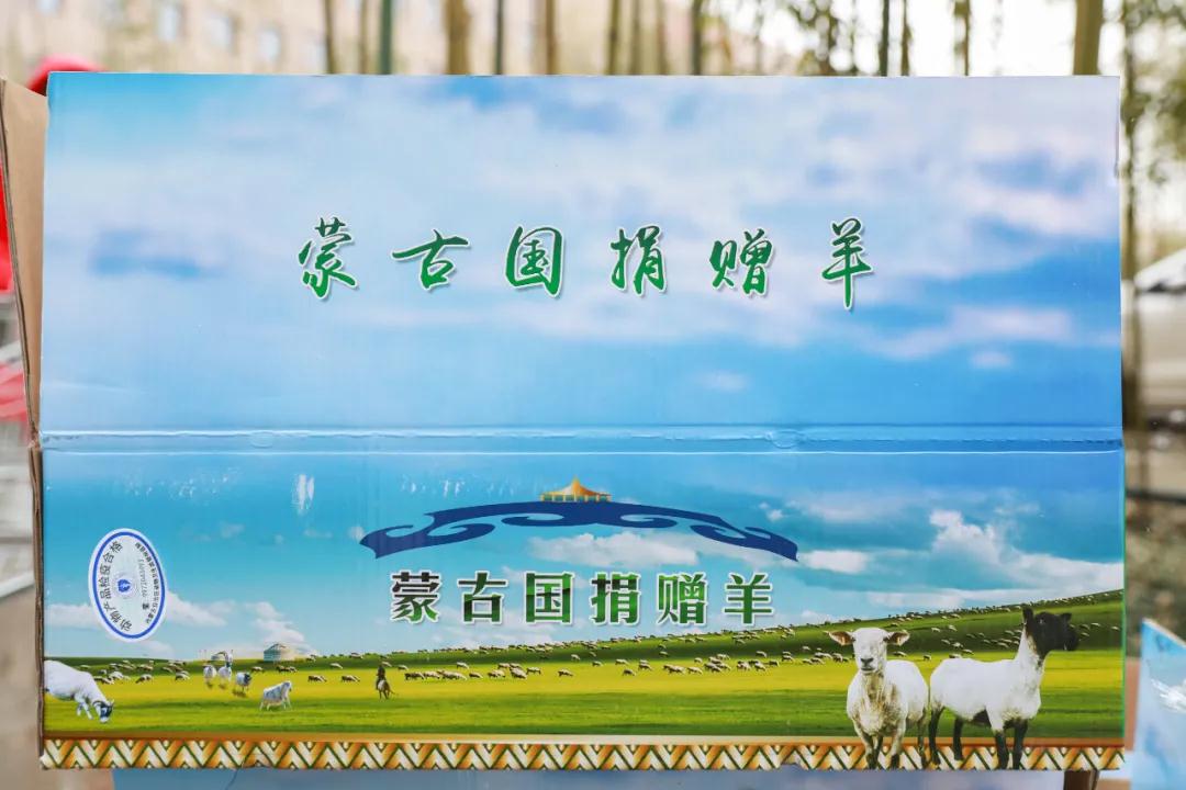 援鄂醫(yī)療隊：“暖羊羊”來啦！