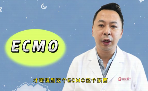 什么是ECMO？