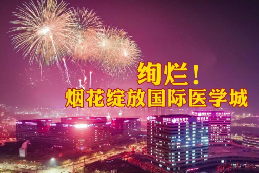 絢爛！煙花綻放國際醫(yī)學(xué)城