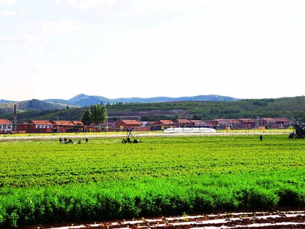 中藥材加工車(chē)間